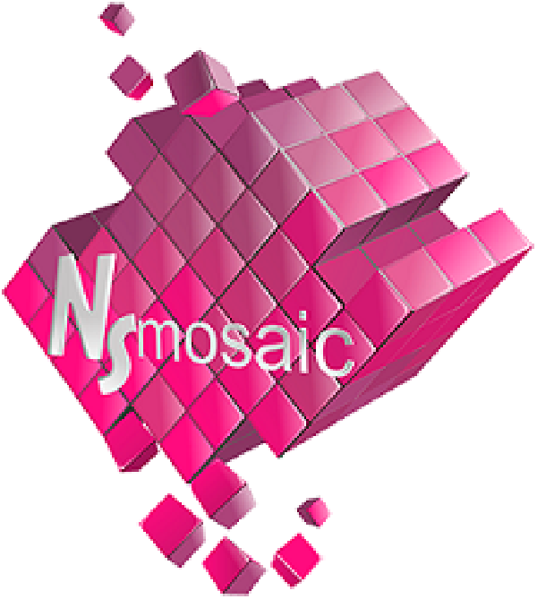 NS mosaic
